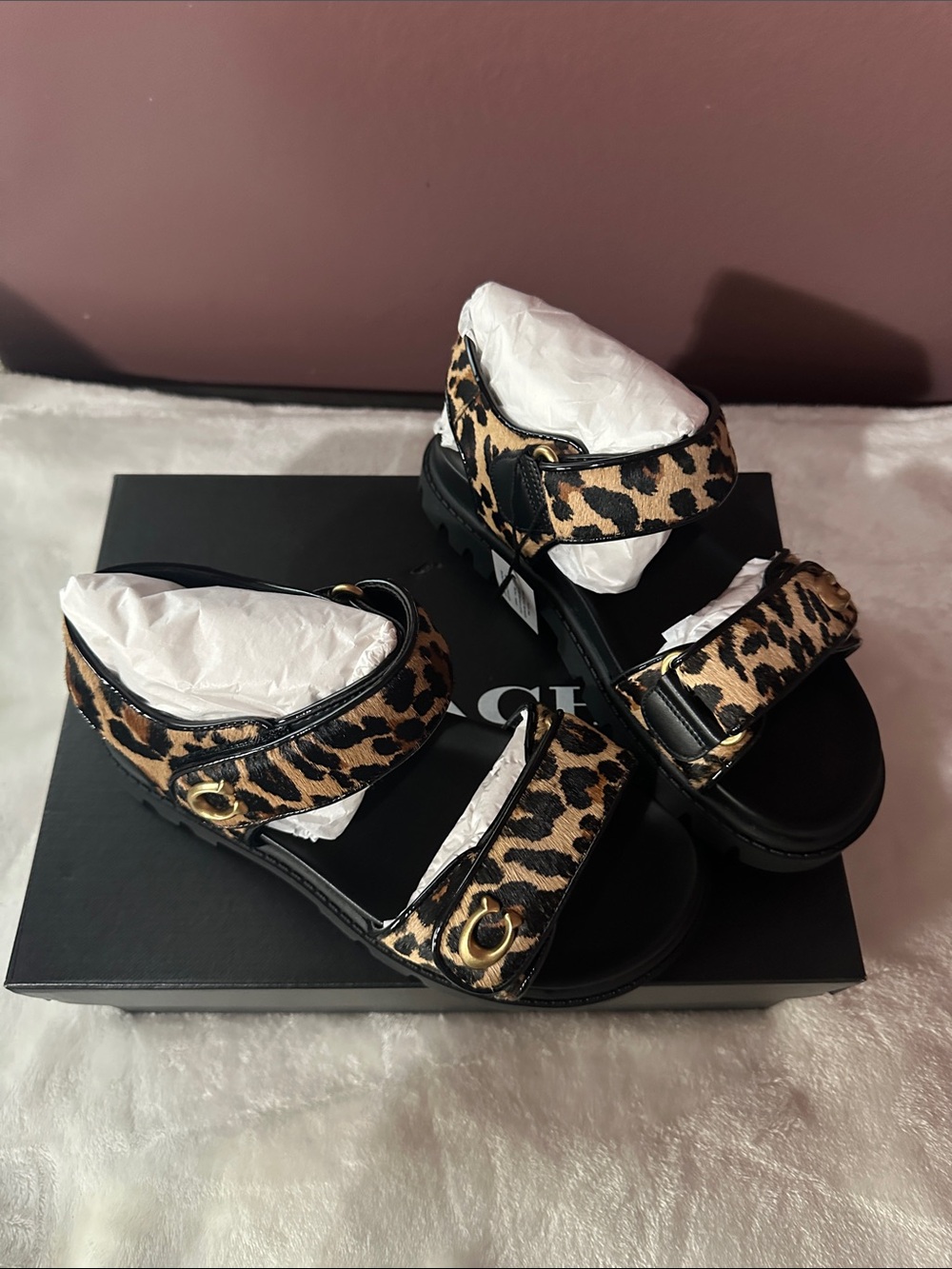 Coach Leopard-Print Slide Sandals in Black and Tan - Picture 2 of 13